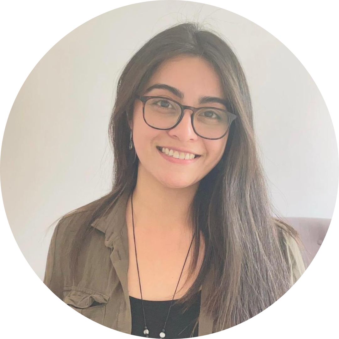 gisela huaiquil terapeuta ocupacional